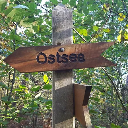 Pusteblume דירה *