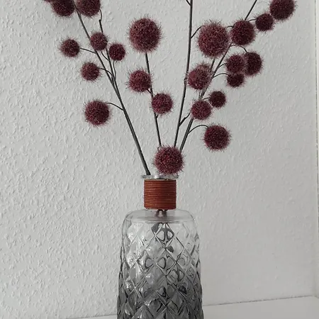 Pusteblume Graal-Mueritz