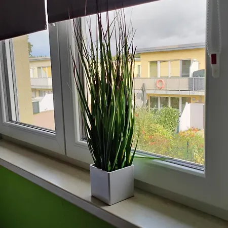 Pusteblume