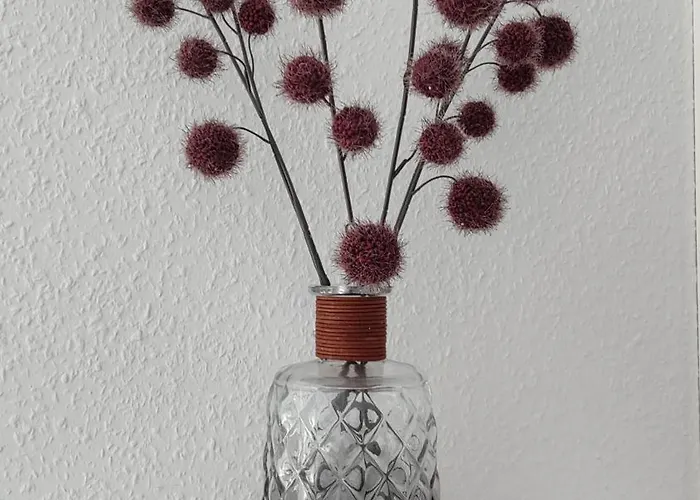 Pusteblume Graal-Mueritz