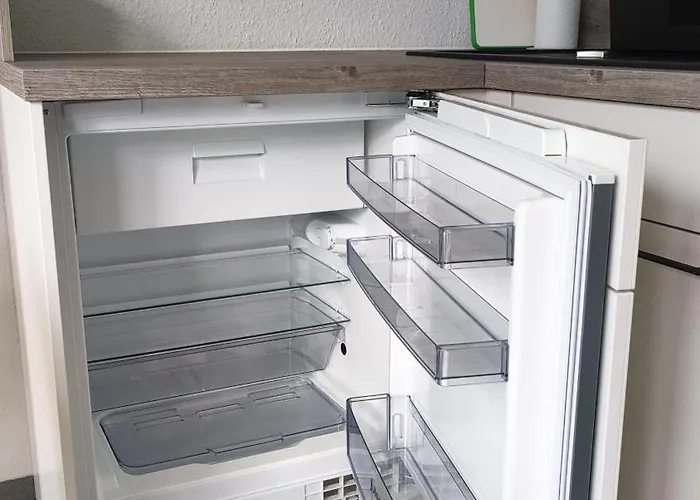 Pusteblume Graal-Mueritz