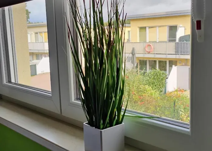 Pusteblume